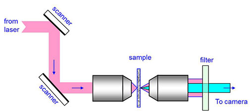 figure-3-schematic