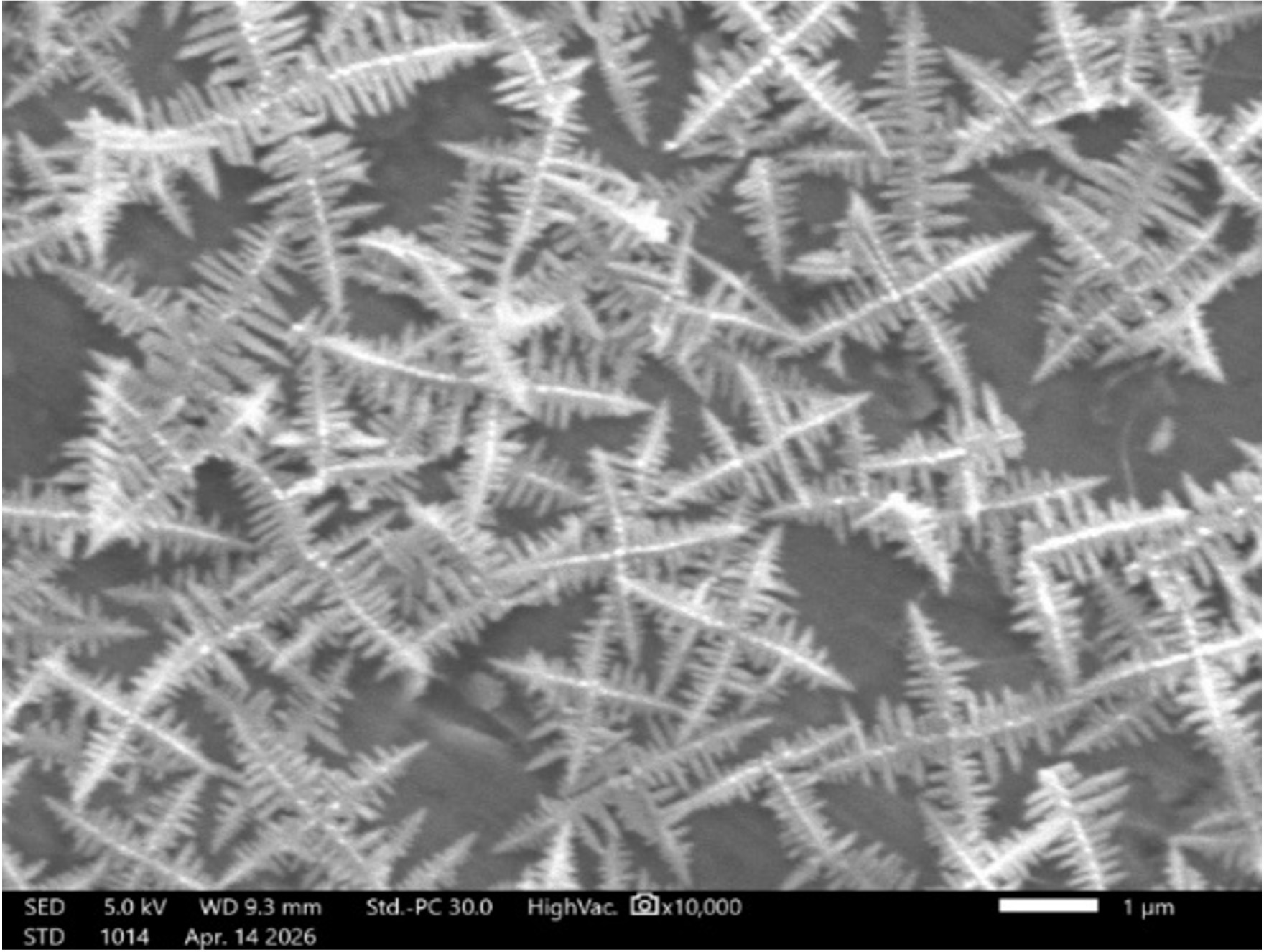 nanomaterial_5